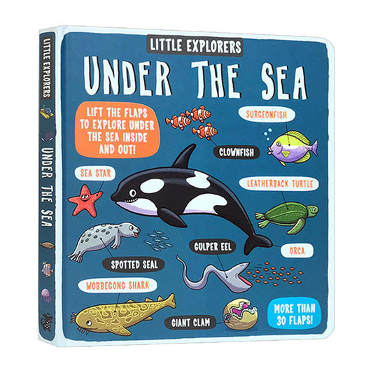 Bonnier Little Explorers: Under the Sea 海洋生物 小小探險家系列翻翻書
