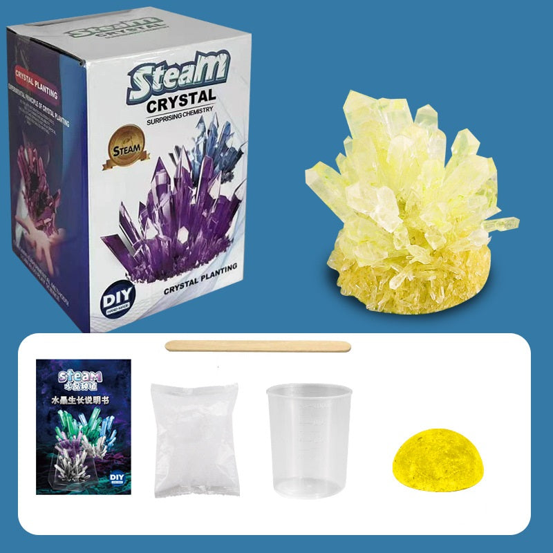 Crystal Growing Kit 水晶種植套件DIY趣味科學實驗 (新舊包裝隨機發貨)
