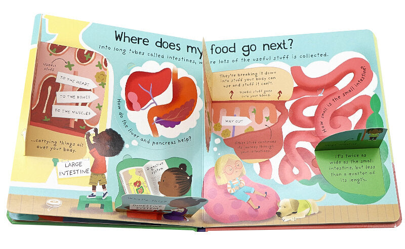 USBORNE First Questions and Answers: Where does my food go? 我的食物去哪裡了? 啟蒙問答翻翻書