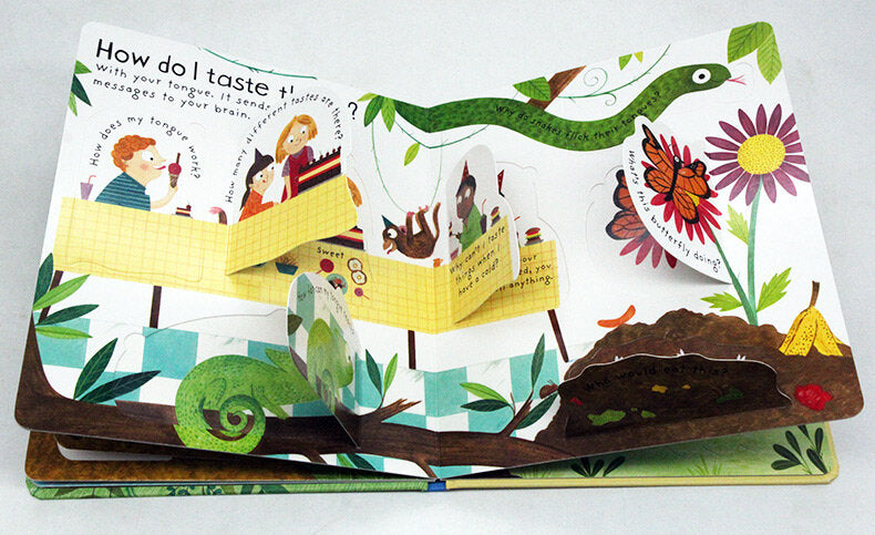 USBORNE - First Questions and Answers: How do I see? 眼睛的作用 啟蒙問答翻翻書