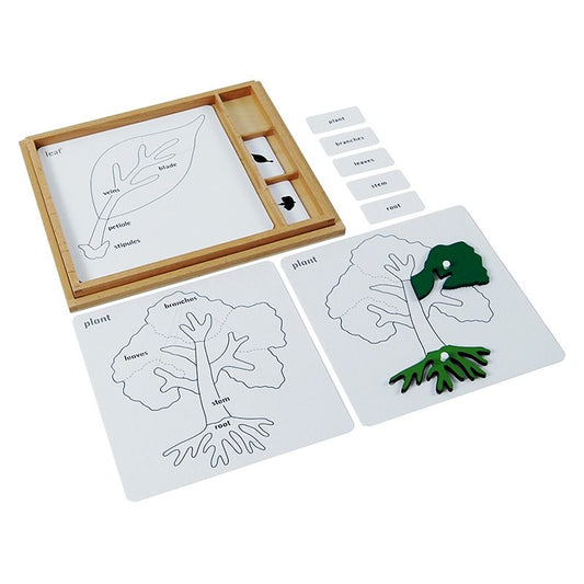 Kindermatic Montessori Botany Puzzle Activity Set 蒙特梭利 植物活動組套裝 英語