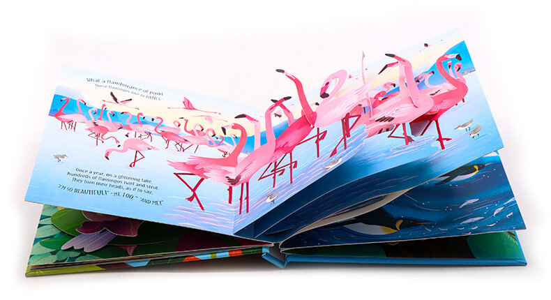 Usborne Pop-Up Birds 雀鳥3D立體紙板書