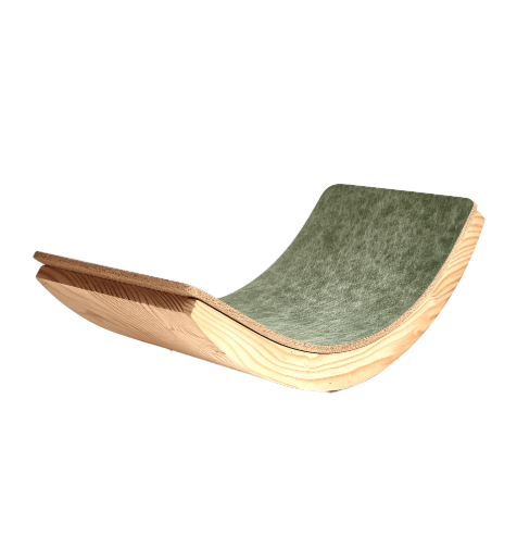 Wobble Board 搖擺板