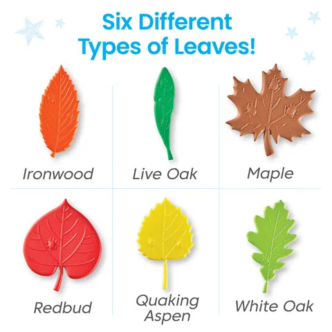 Hand2Mind Sensory Leaves Math Activity Set 感官葉數學活動套裝