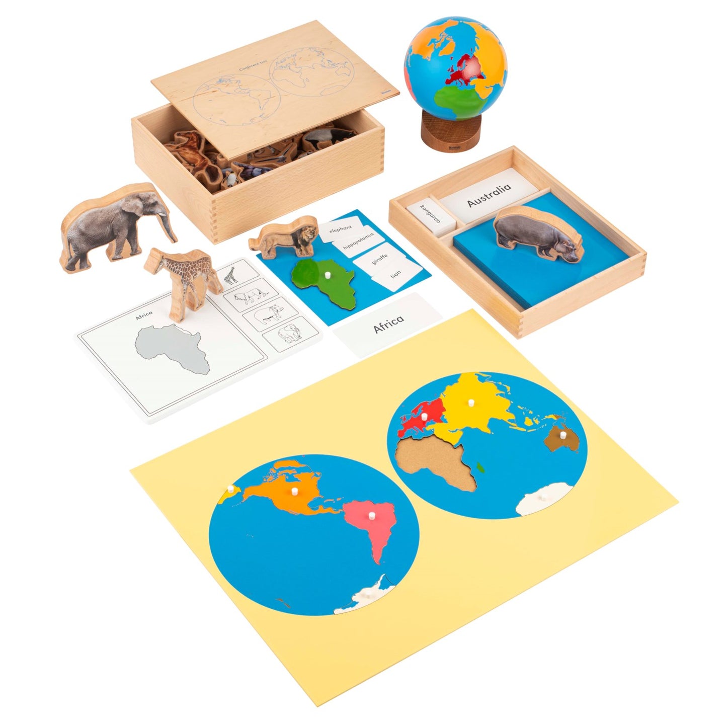 Niehuis Montessori The Animal Continent Box 蒙特梭利教具- 世界物種棲息地