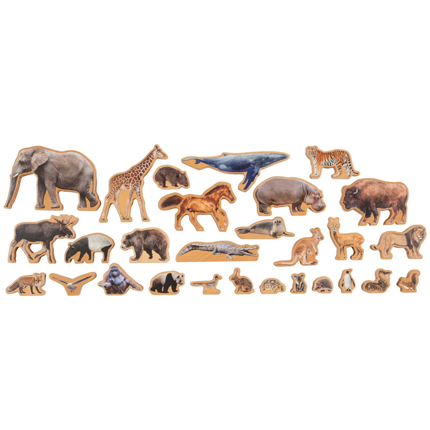 Nienhuis Montessori The Animal Continent Box 蒙特梭利教具- 世界物種棲息地