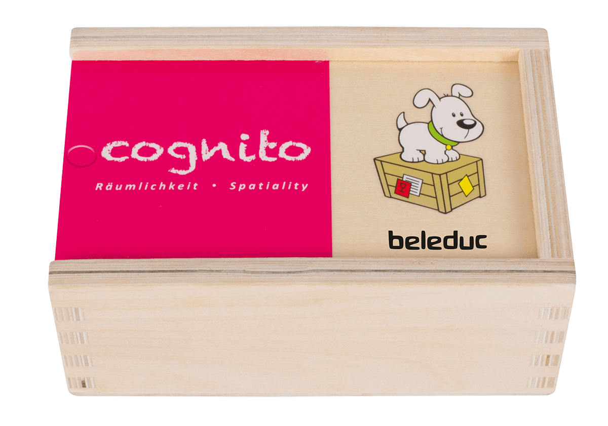 Beleduc Cognito Spatiality Matching Game 空間方位配對遊戲