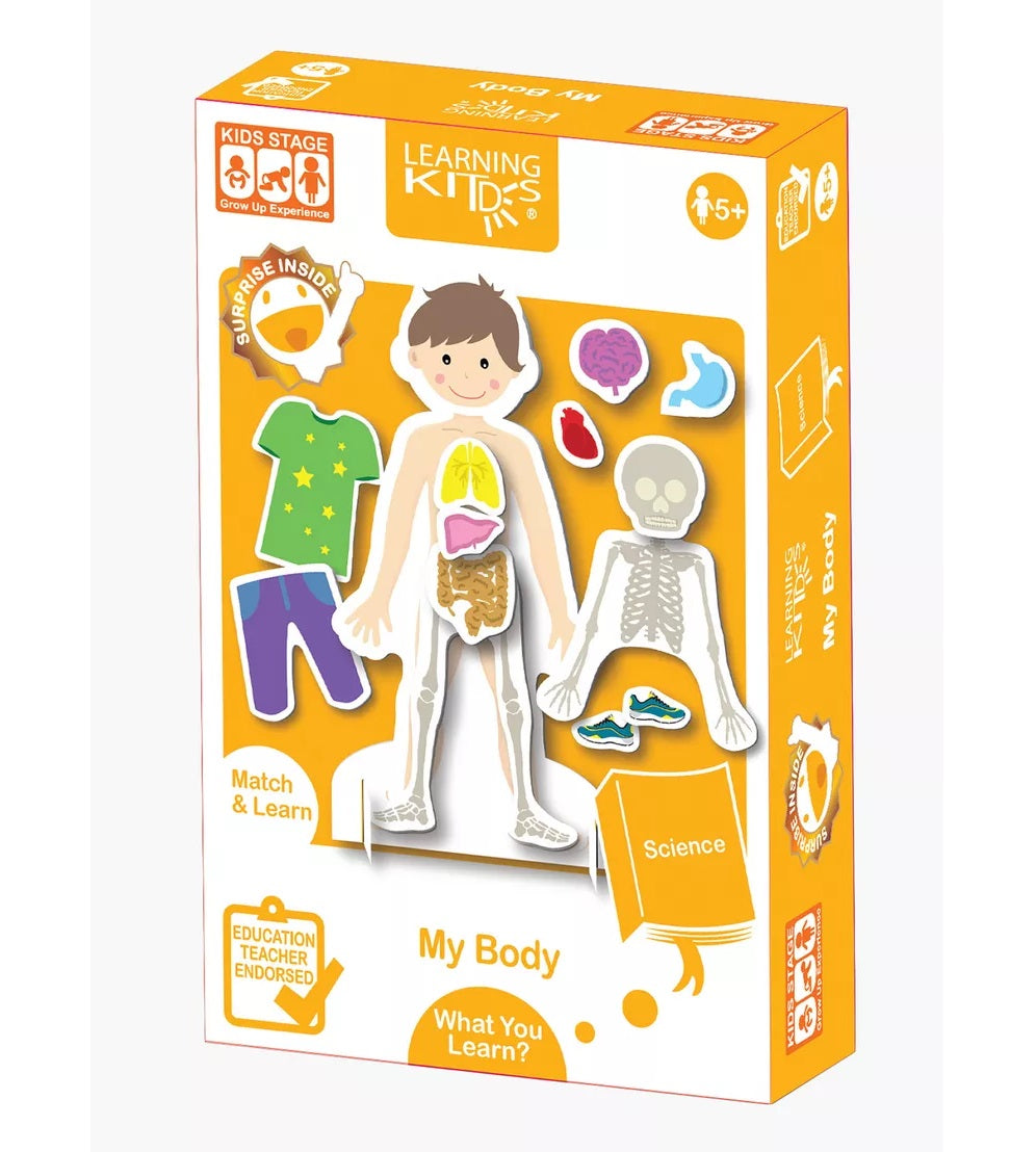 Learning Kitds My Body 我的身體 (人體認知磁力遊戲）