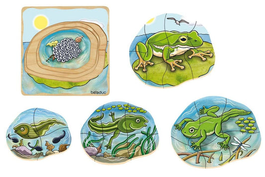 Beleduc Layer-Puzzle Frog 青蛙生長多層情景找找看拼圖