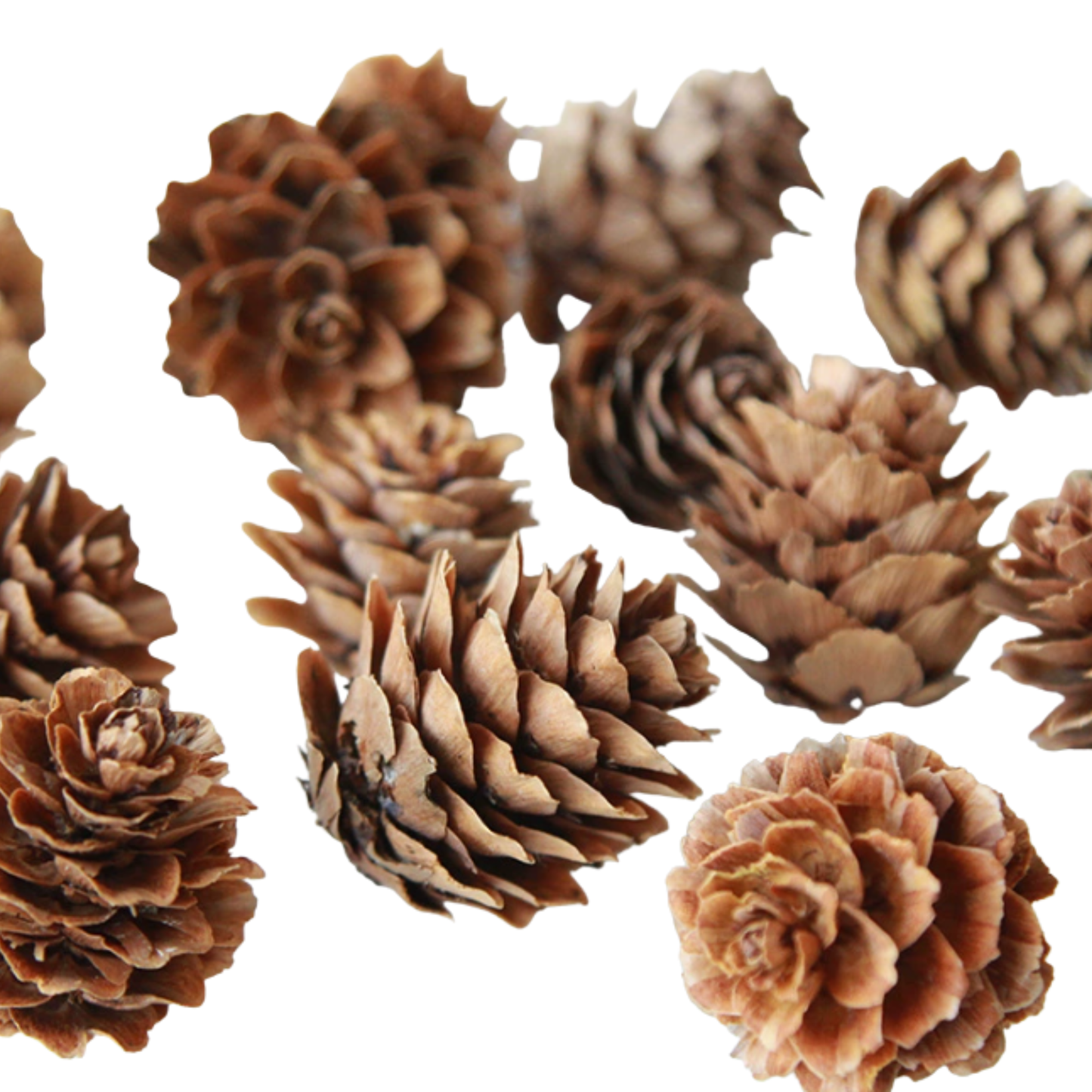 DIY Craft Material 手工材料