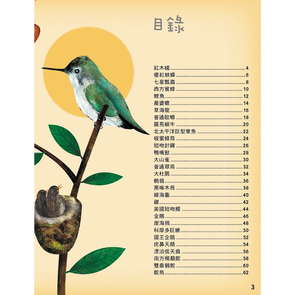 蛋蛋小百科