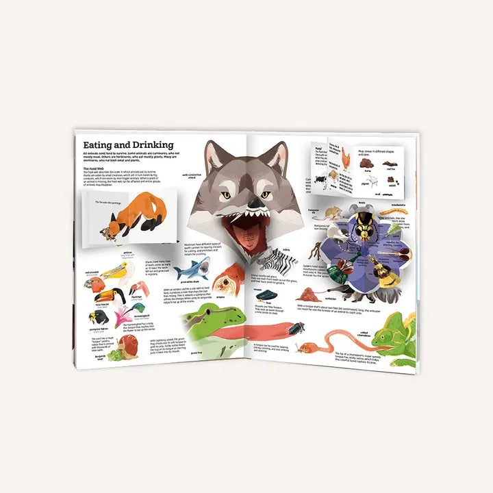 Twirl The Ultimate Book of Animals 動物大全 終極百科立體書