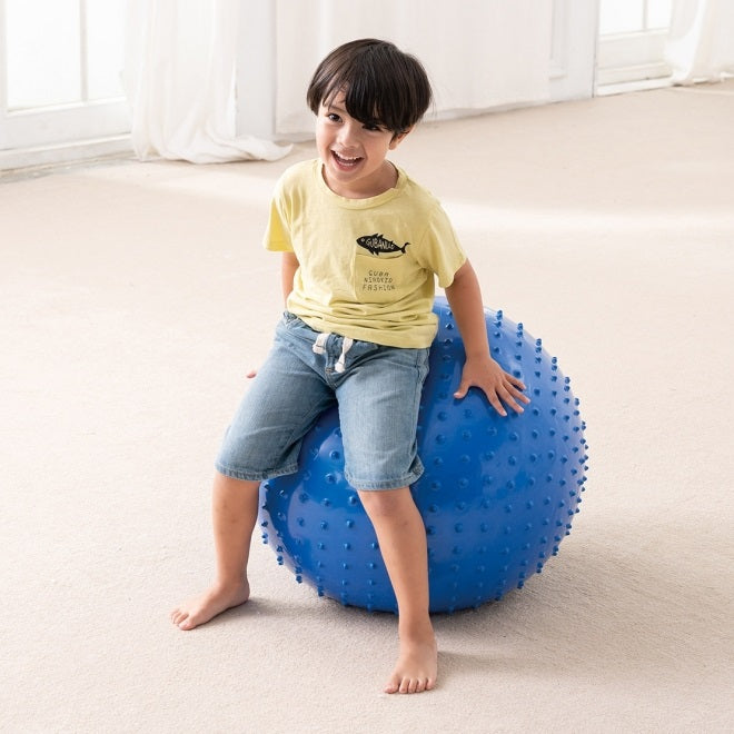 Massage Gym Ball 65cm 帶刺觸覺球 65cm