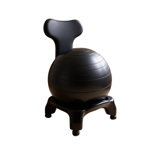 Sensory Active Sitting Ball Chair 感統瑜伽球椅