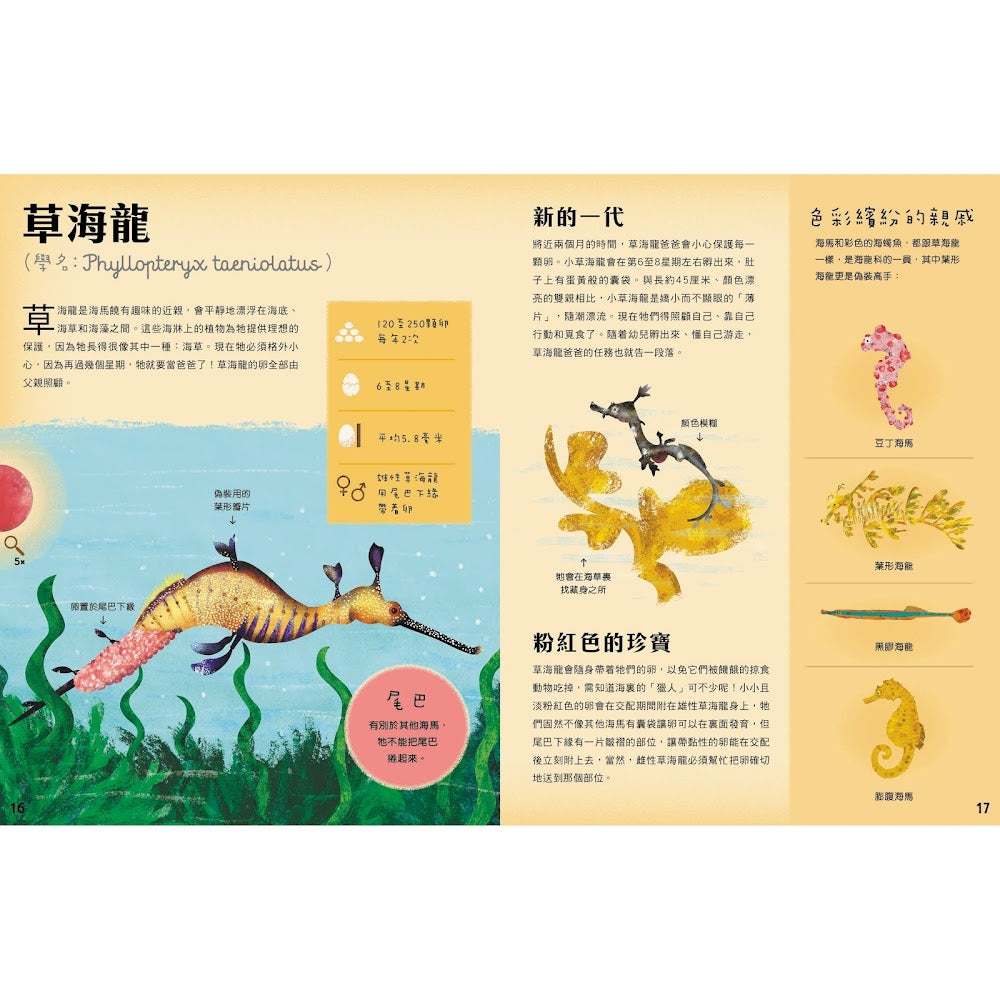 蛋蛋小百科