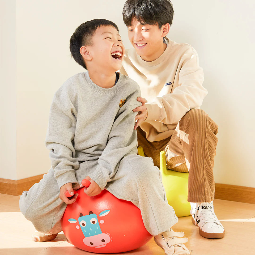 Sensory Training Bounce Ball 感官訓練跳跳球