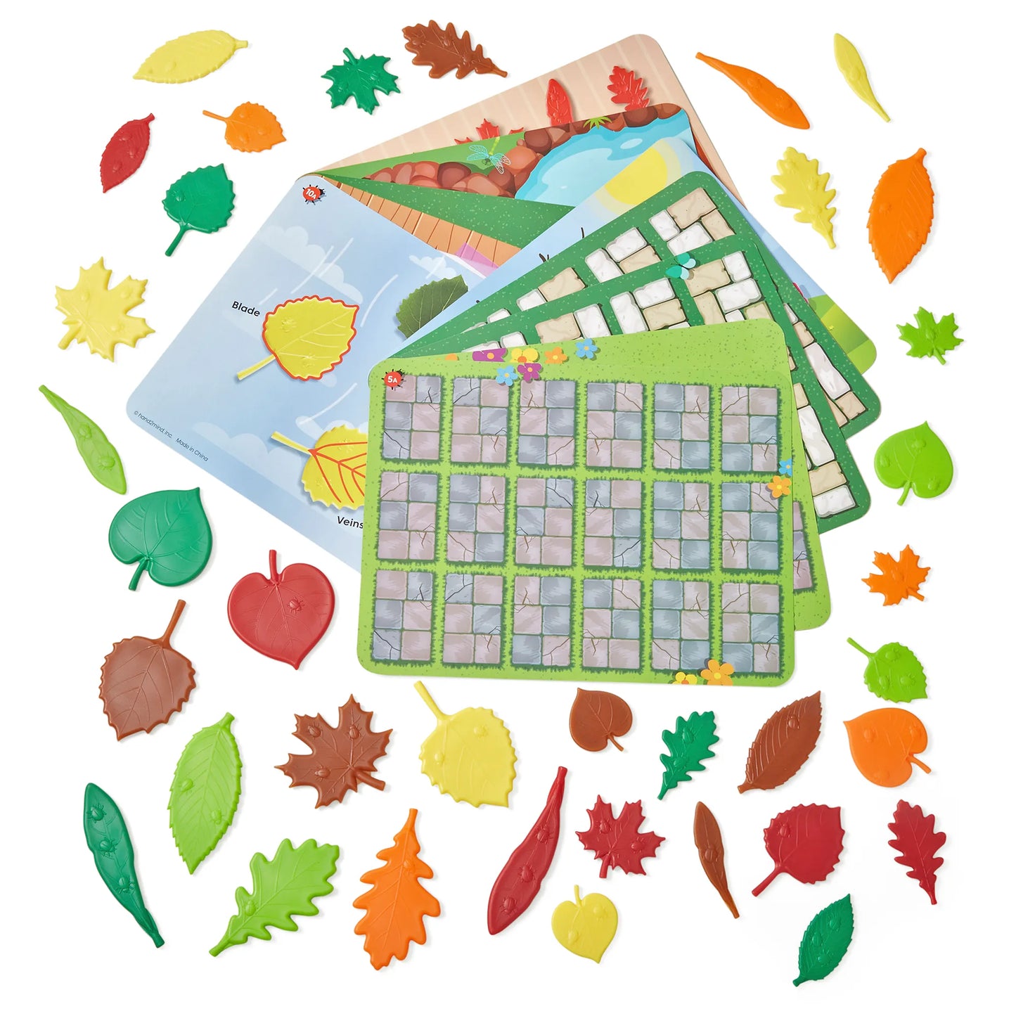 Hand2Mind Sensory Leaves Math Activity Set 感官葉數學活動套裝