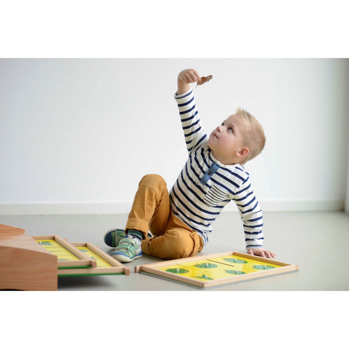 Nienhuis Montessori Botany Cabinet 蒙特梭利教具- 樹葉嵌板櫥 – MY SCHOOL BUS