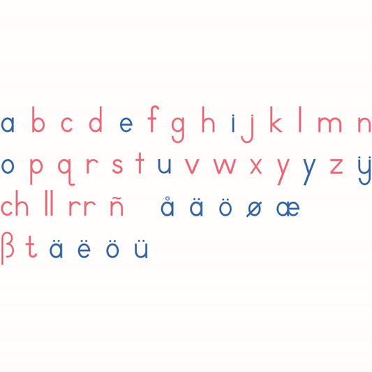 Nienhuis Montessori Movable Alphabet: International Print 蒙特梭利教具- 活動字母 國際印刷體