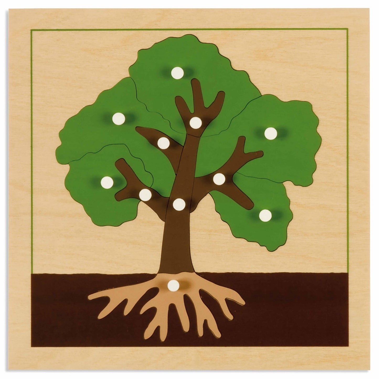 Niehuis Montessori Botany Puzzle: Tree 蒙特梭利教具- 植物拼圖-樹