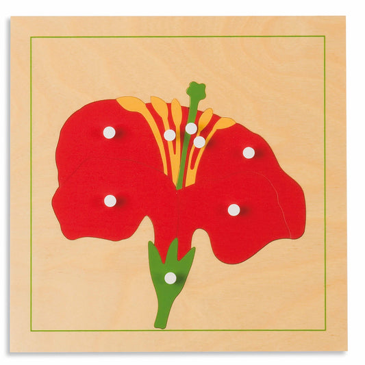 Niehuis Montessori Botany Puzzle: Flower 蒙特梭利教具- 植物拼圖-花
