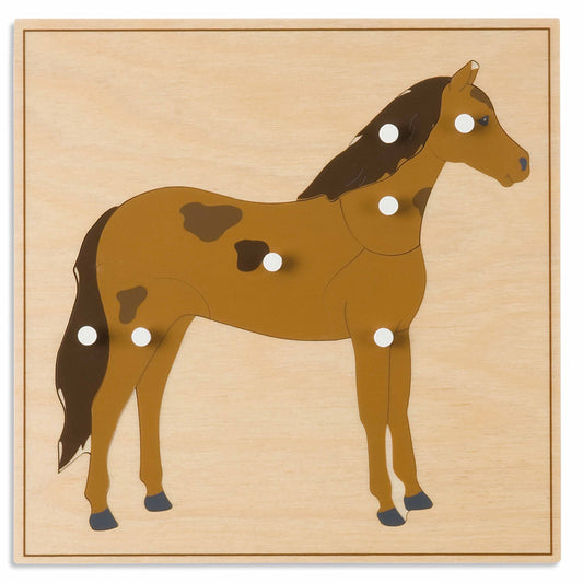 Niehuis Montessori Animal Puzzle: Horse 蒙特梭利教具- 動物拼圖-馬
