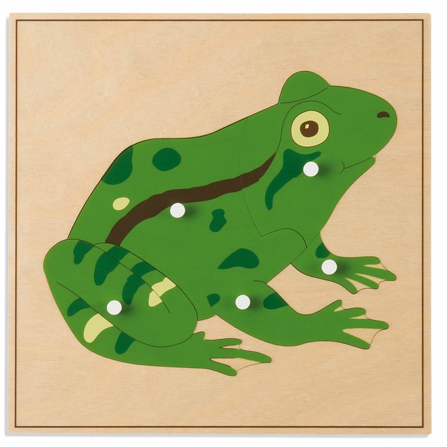 Niehuis Montessori Animal Puzzle: Frog 蒙特梭利教具- 動物拼圖-青蛙