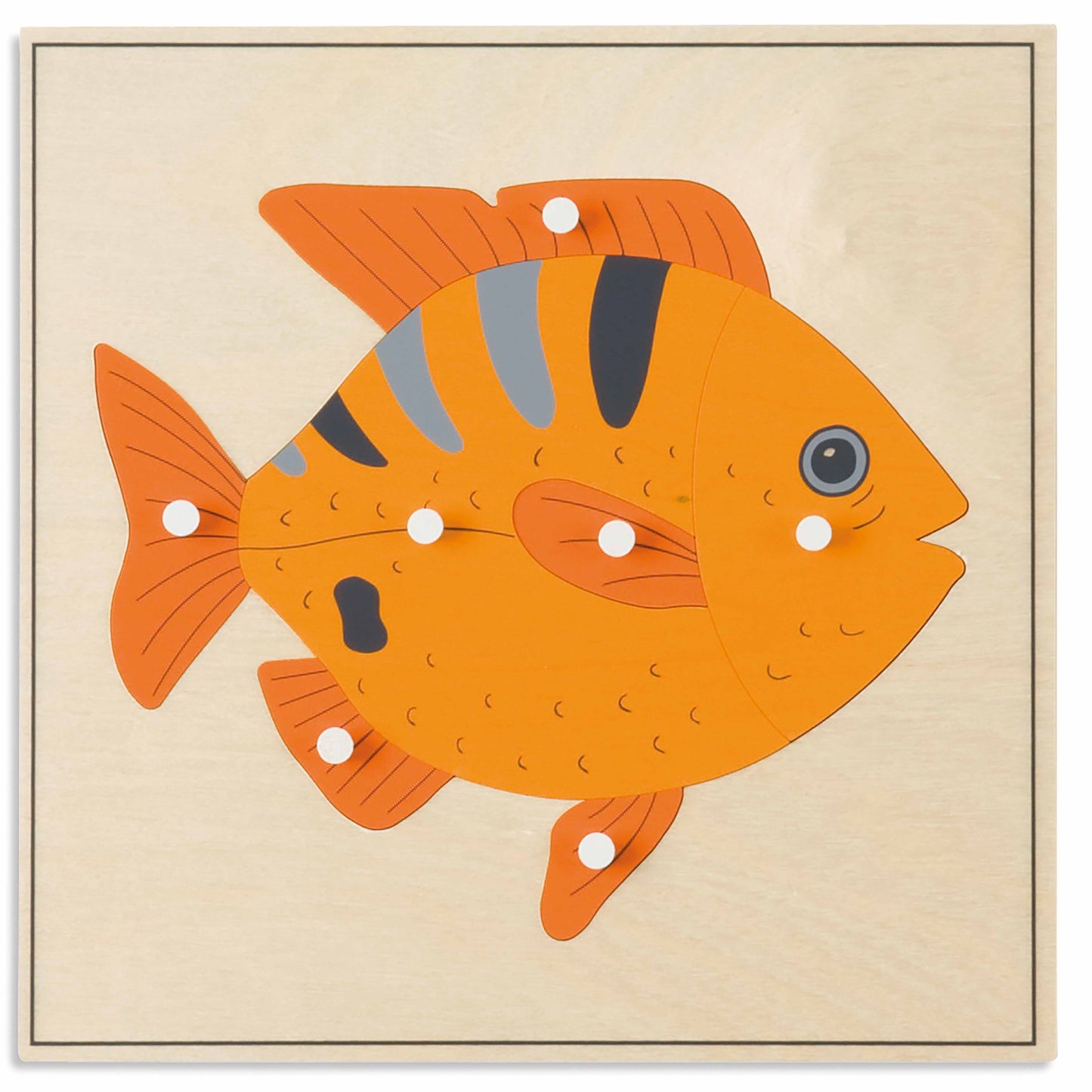 Niehuis Montessori Animal Puzzle: Fish 蒙特梭利教具- 動物拼圖-魚