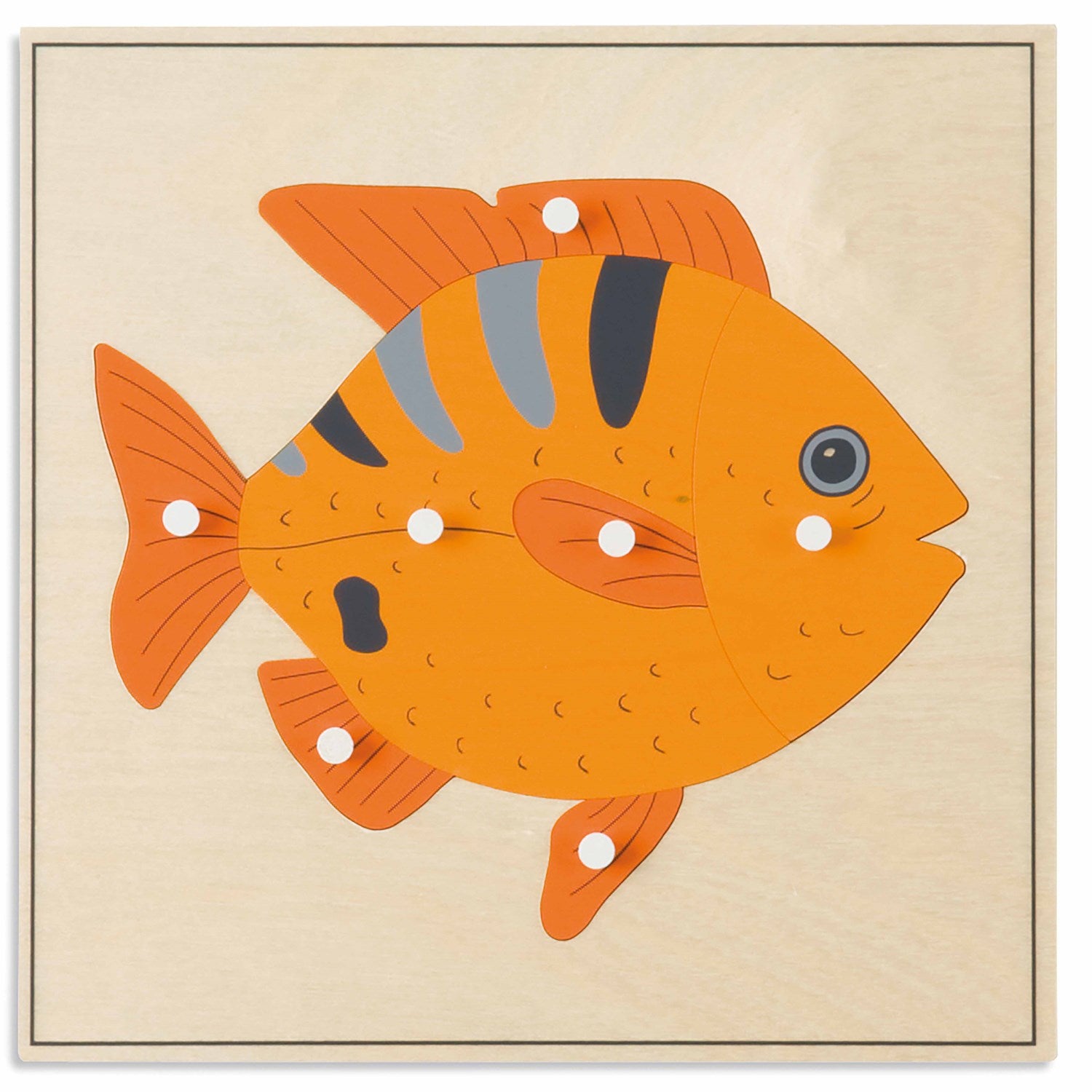 Nienhuis Montessori Animal Puzzle: Fish 蒙特梭利教具- 動物拼圖-魚 – MY SCHOOL BUS