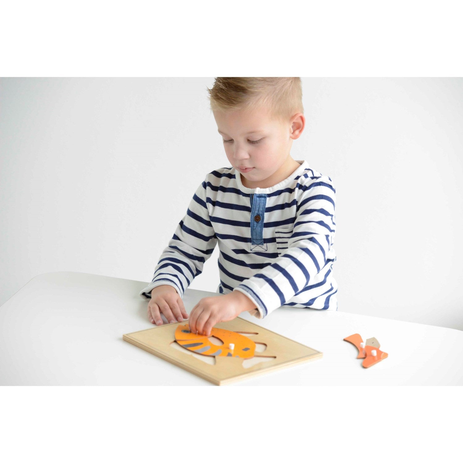 Nienhuis Montessori Animal Puzzle: Fish 蒙特梭利教具- 動物拼圖-魚 – MY SCHOOL BUS