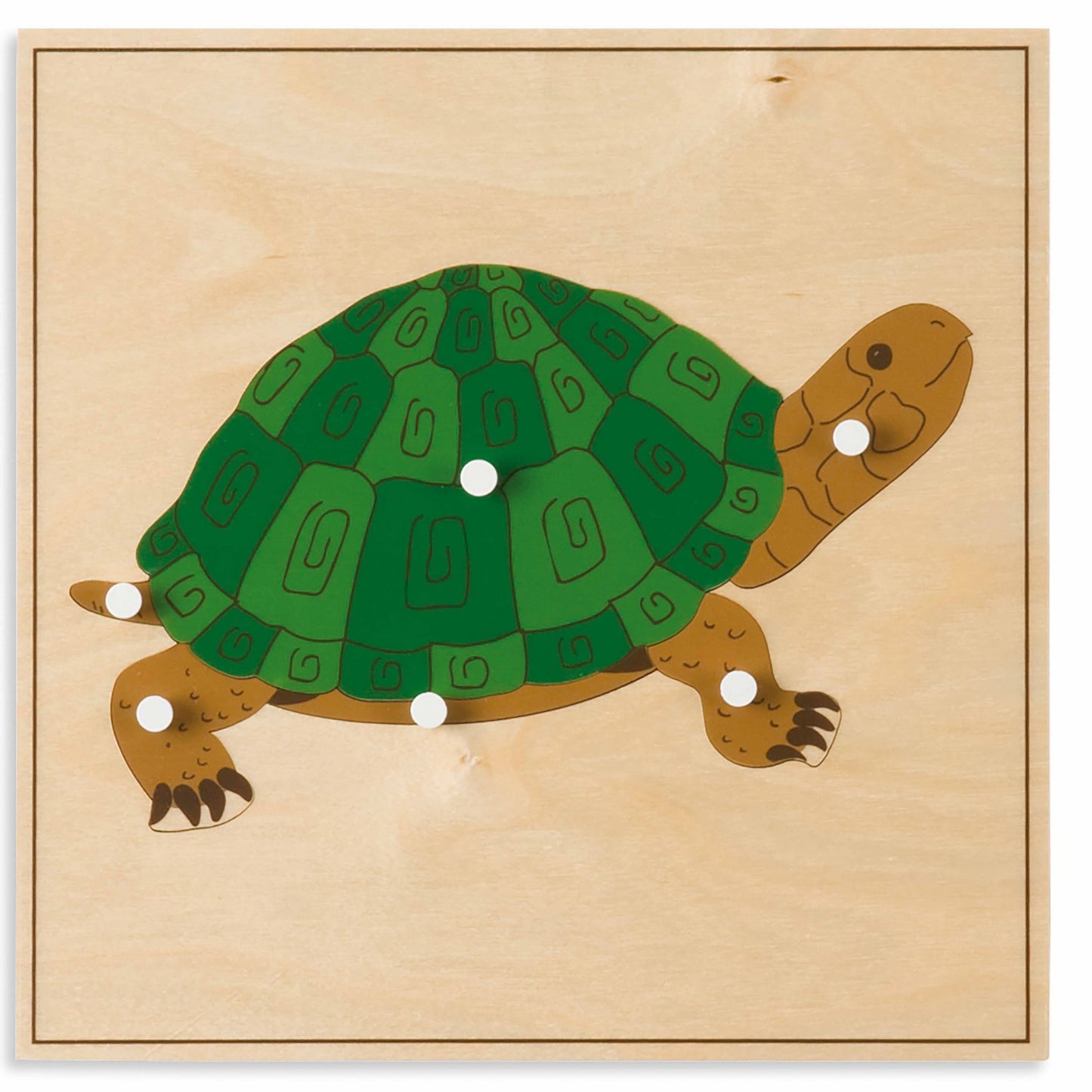 Nienhuis Montessori Animal Puzzle: Turtle 蒙特梭利教具- 動物拼圖-烏龜