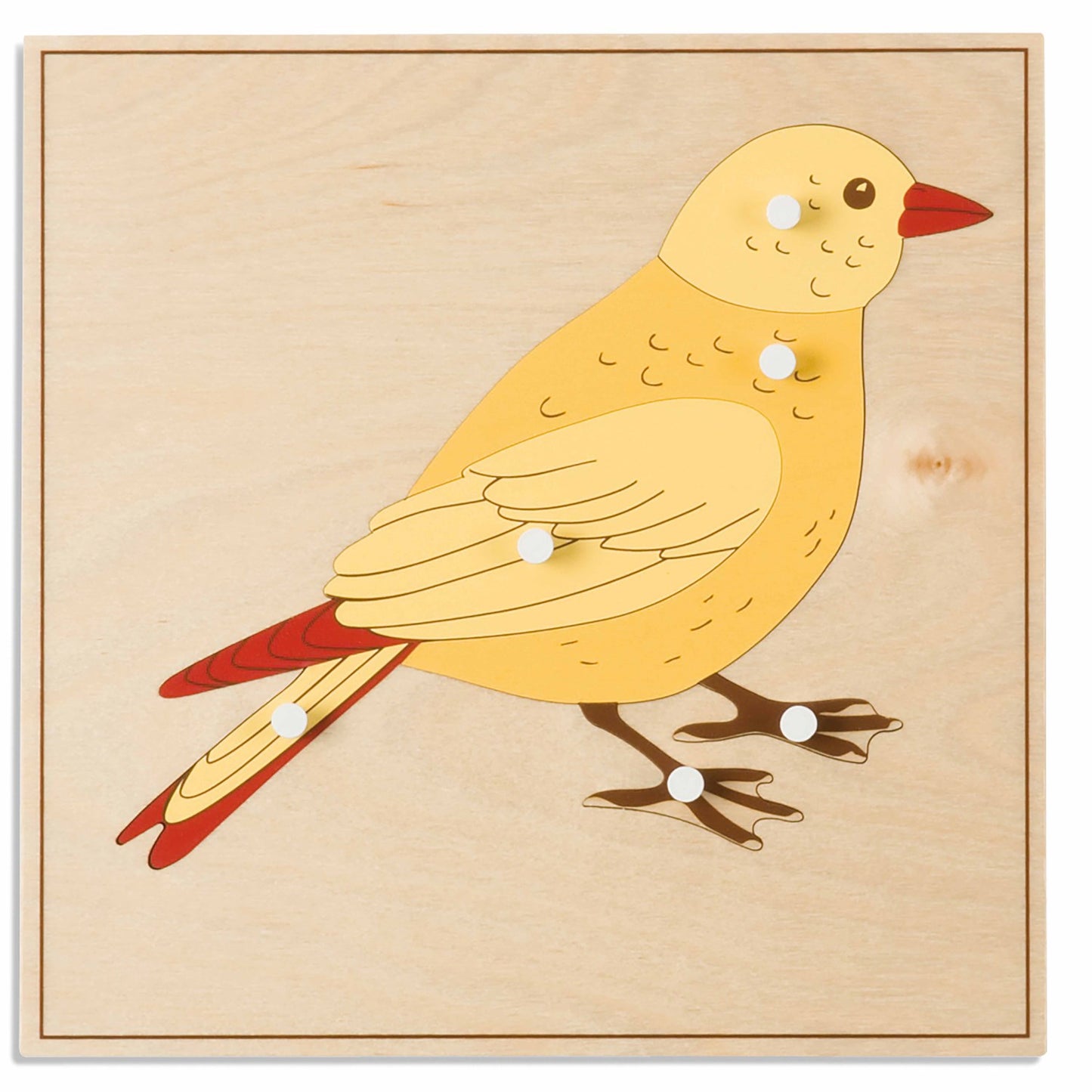 Niehuis Montessori Animal Puzzle: Bird 蒙特梭利教具- 動物拼圖-鳥