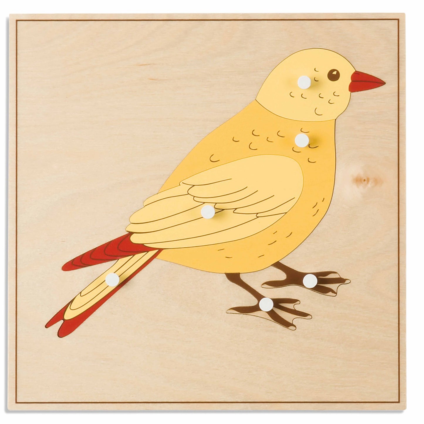 Nienhuis Montessori Animal Puzzle: Bird 蒙特梭利教具- 動物拼圖-鳥