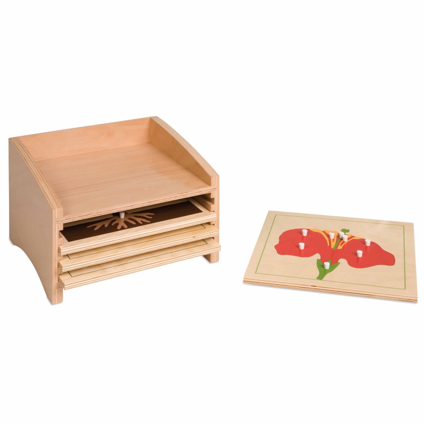 Niehuis Montessori Botany Puzzle Cabinet: Four (without puzzle) 蒙特梭利教具- 植物拼圖櫥 (不含拼圖)