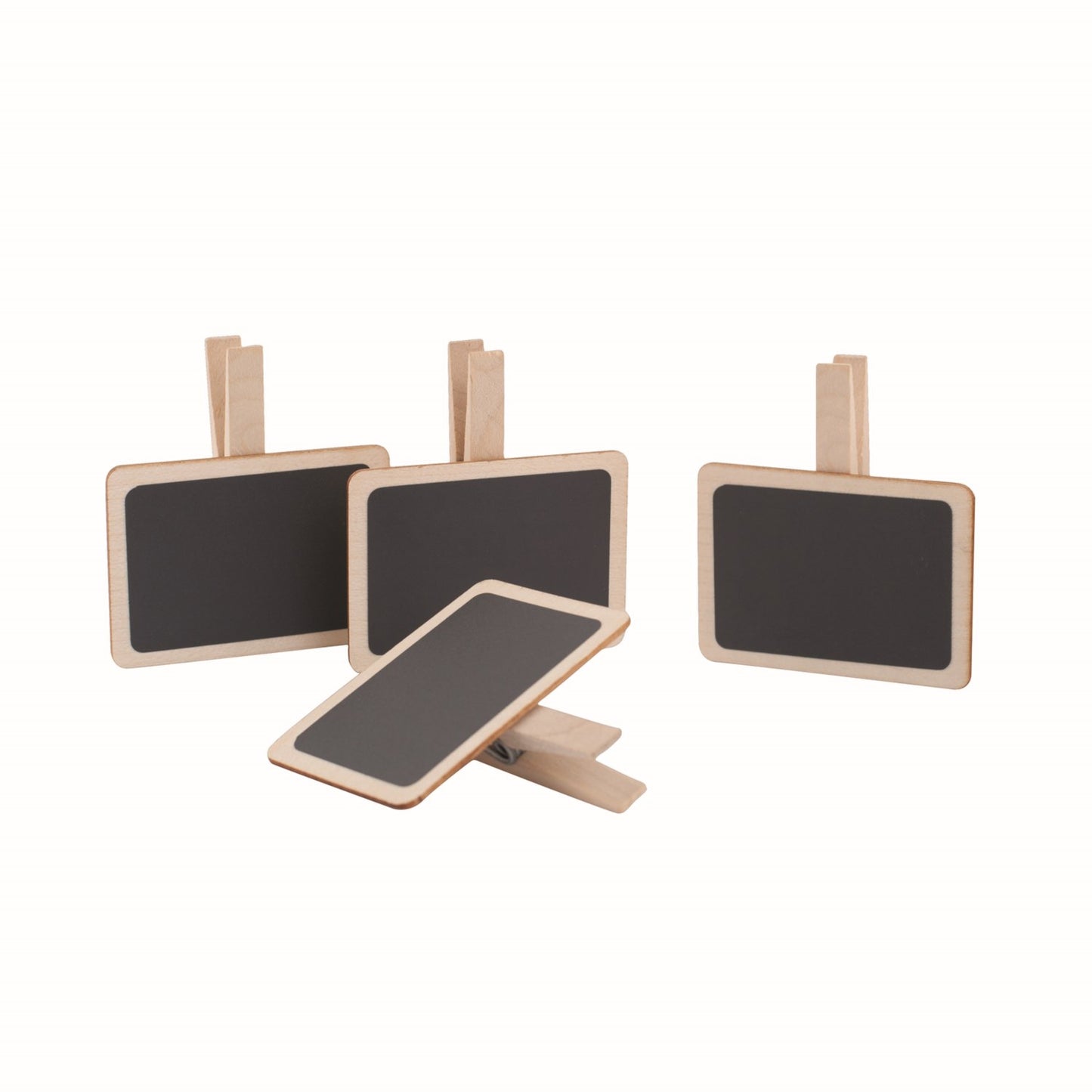 Nienhuis Montessori Herb Greenboards 蒙特梭利教具- 植物標記板