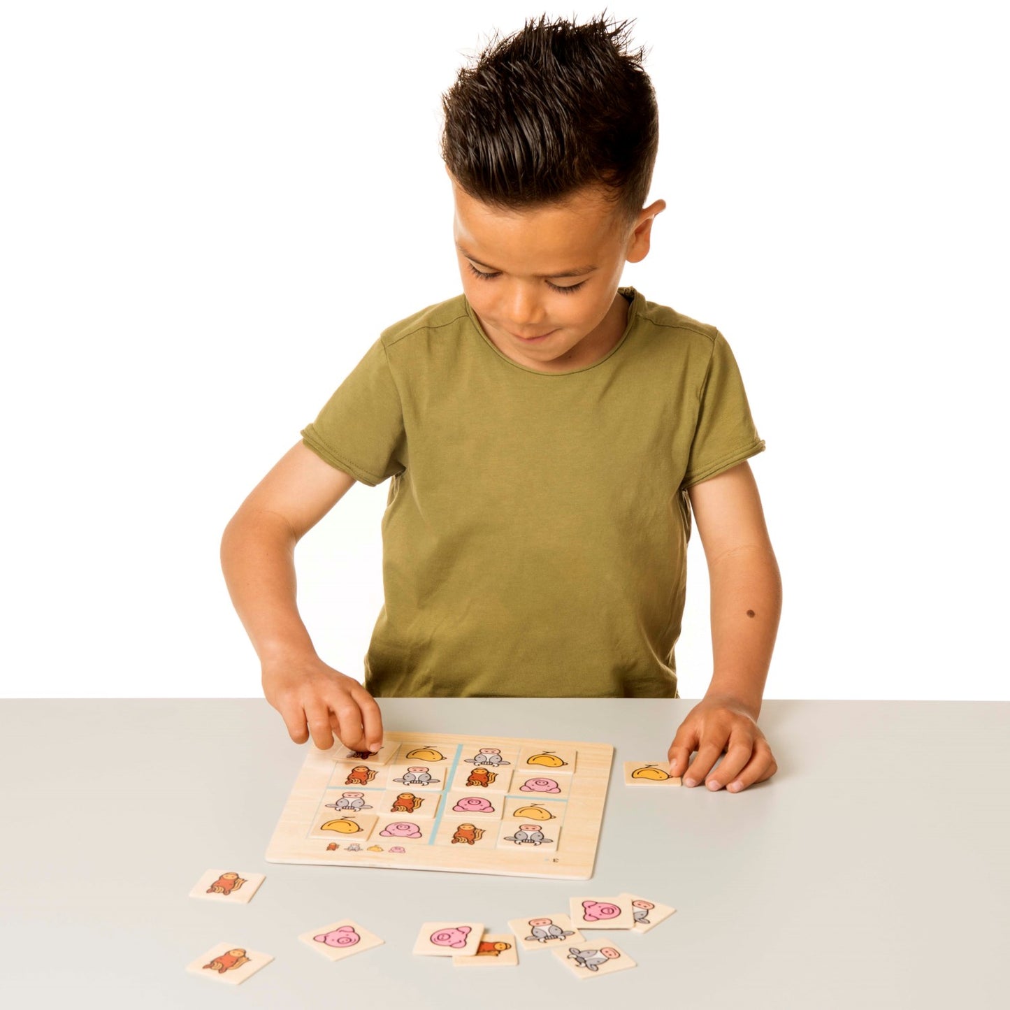 Toys for Life Animal Logic Game 動物邏輯篩選遊戲