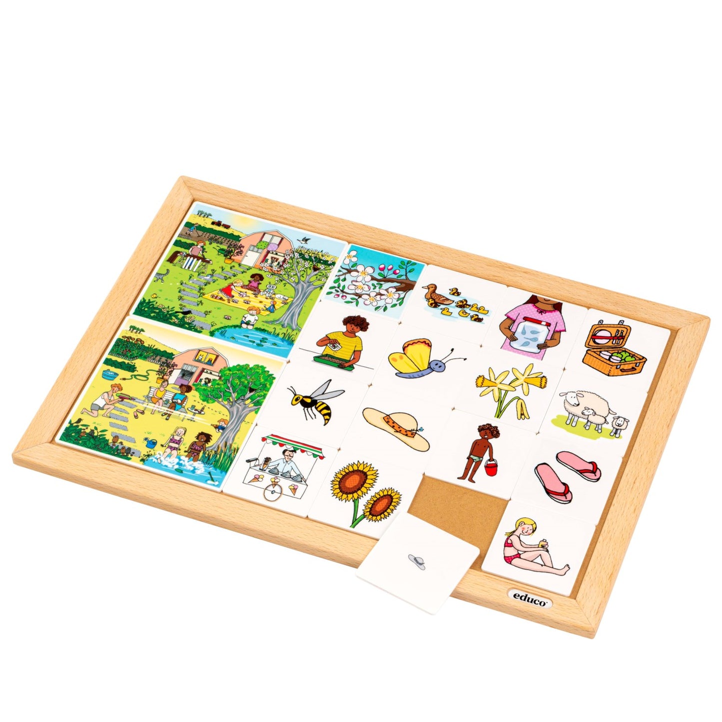 Educo Season lotto spring/summer 卡片分類遊戲四季系列 - 春天與夏天