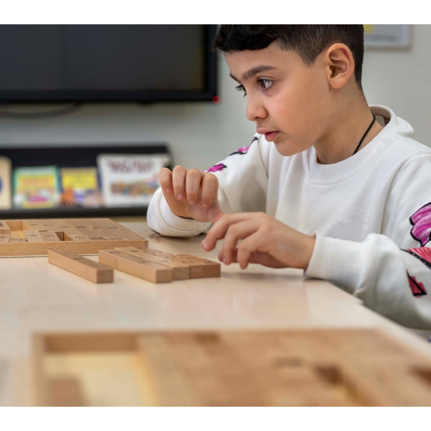 Educo Math Blocks 整數分解積木盤
