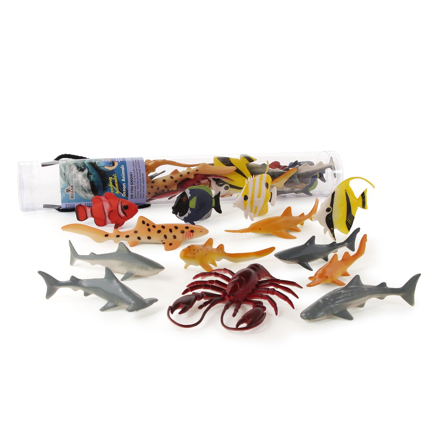 Wenno® Ocean Animals in Tube Set of 13 海洋動物筒裝