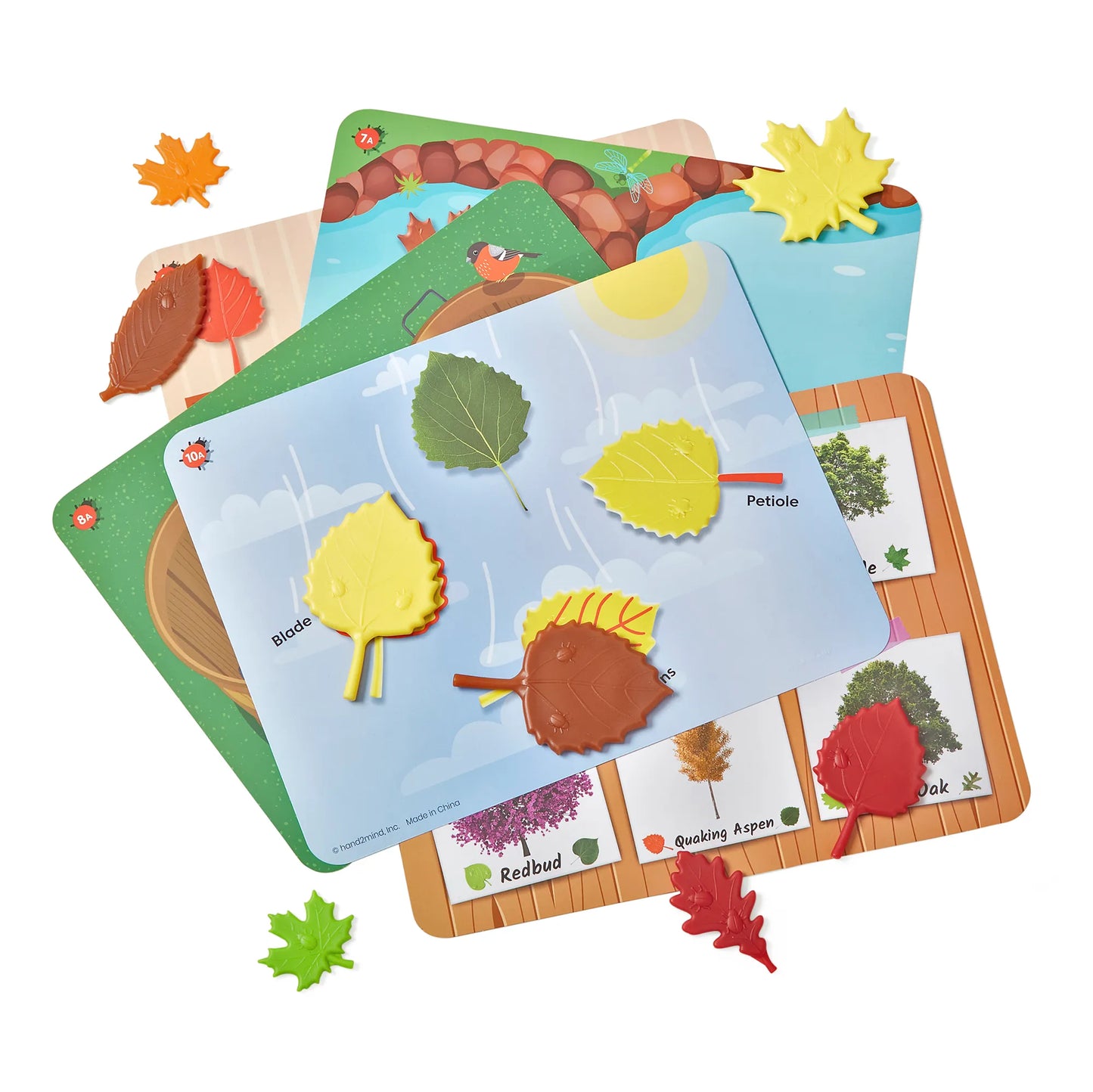 Hand2Mind Sensory Leaves Math Activity Set 感官葉數學活動套裝