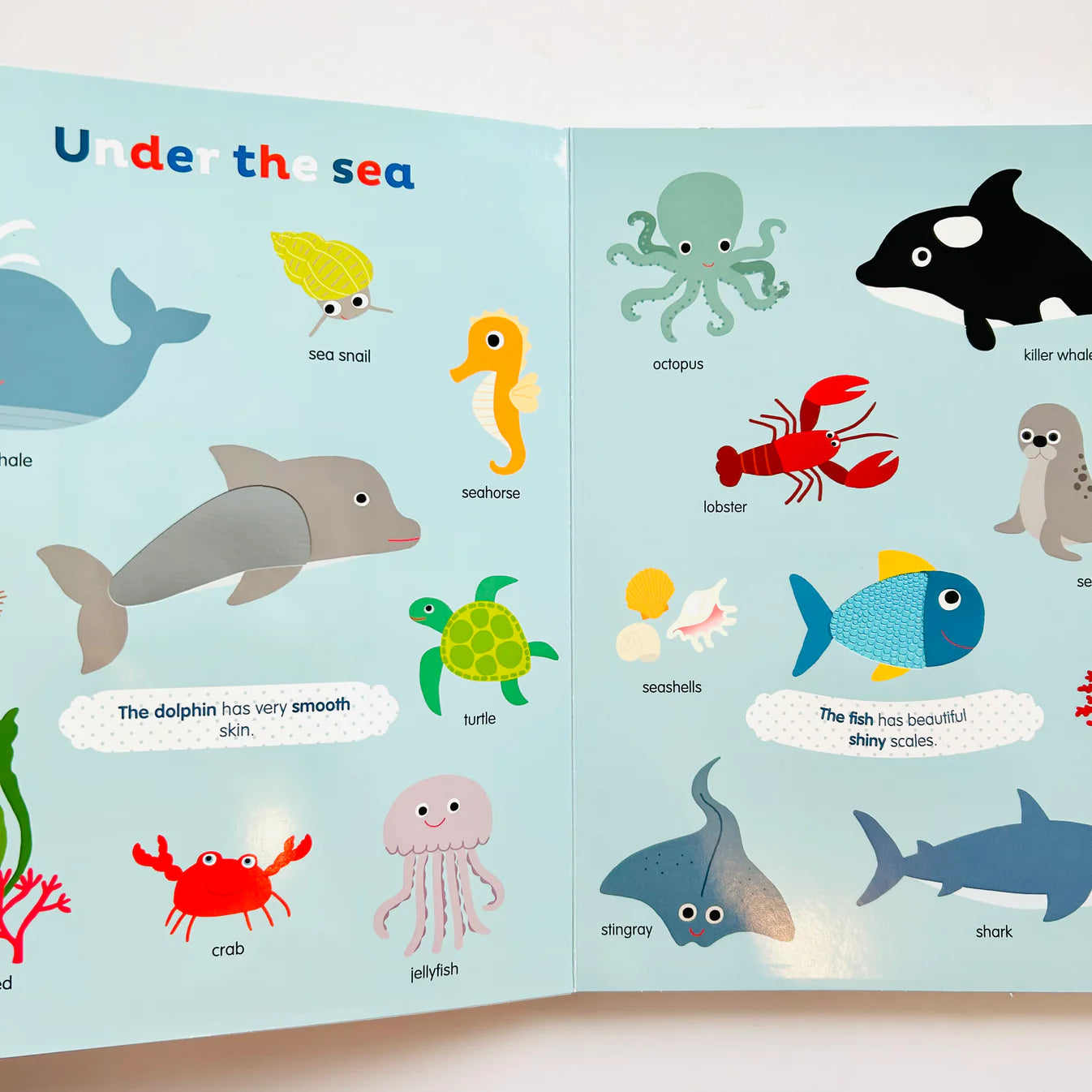 My First Touch and Feel Book - Nature