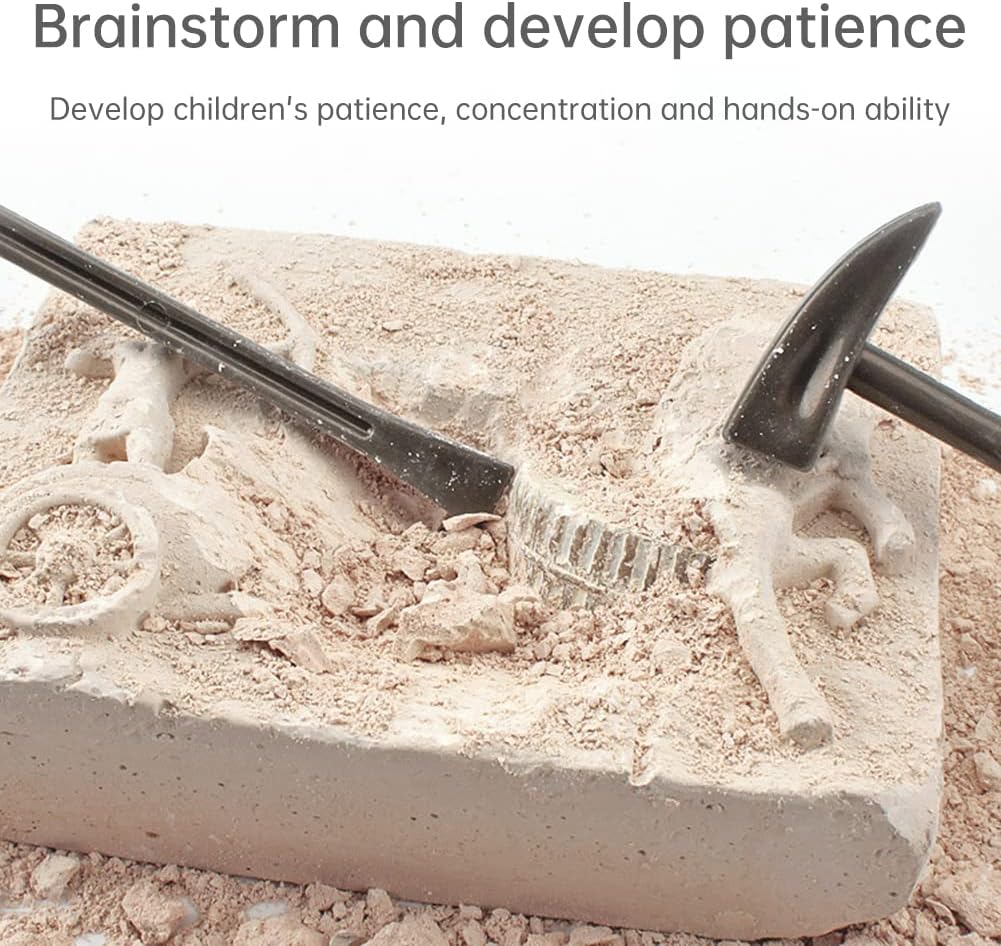 Terracotta Army Excavation Kit Random Fossil 秦始皇陵兵馬俑 陶土挖掘套件 款式隨機