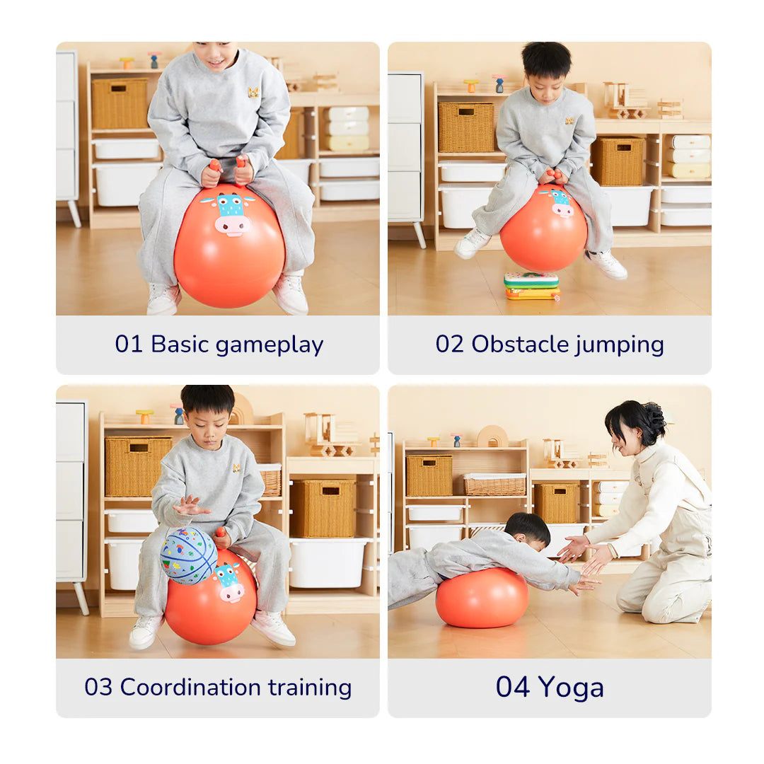 Sensory Training Bounce Ball 感官訓練跳跳球