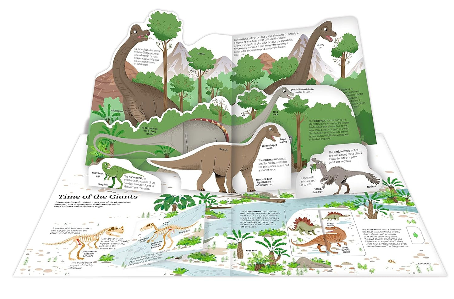 Twirl The Ultimate Book of Dinosaurs and Other Prehistoric Creatures 恐龍及其他史前生物終極百科立體書
