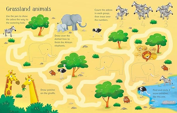 Usborne Wipe-Clean Animal Activities 可擦寫 動物活動書