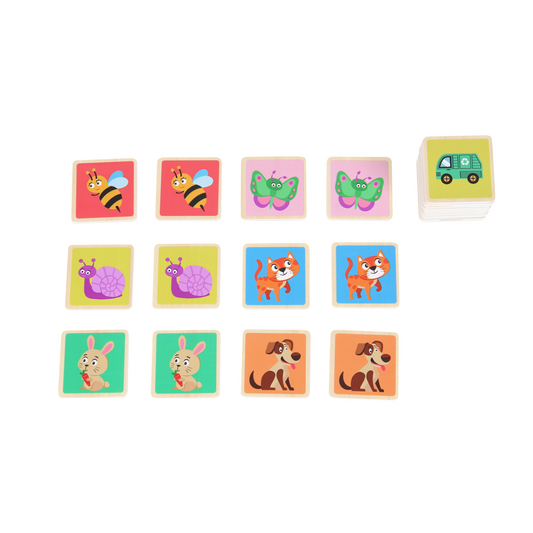 EDUcare Memory Match Game 記憶卡片遊戲