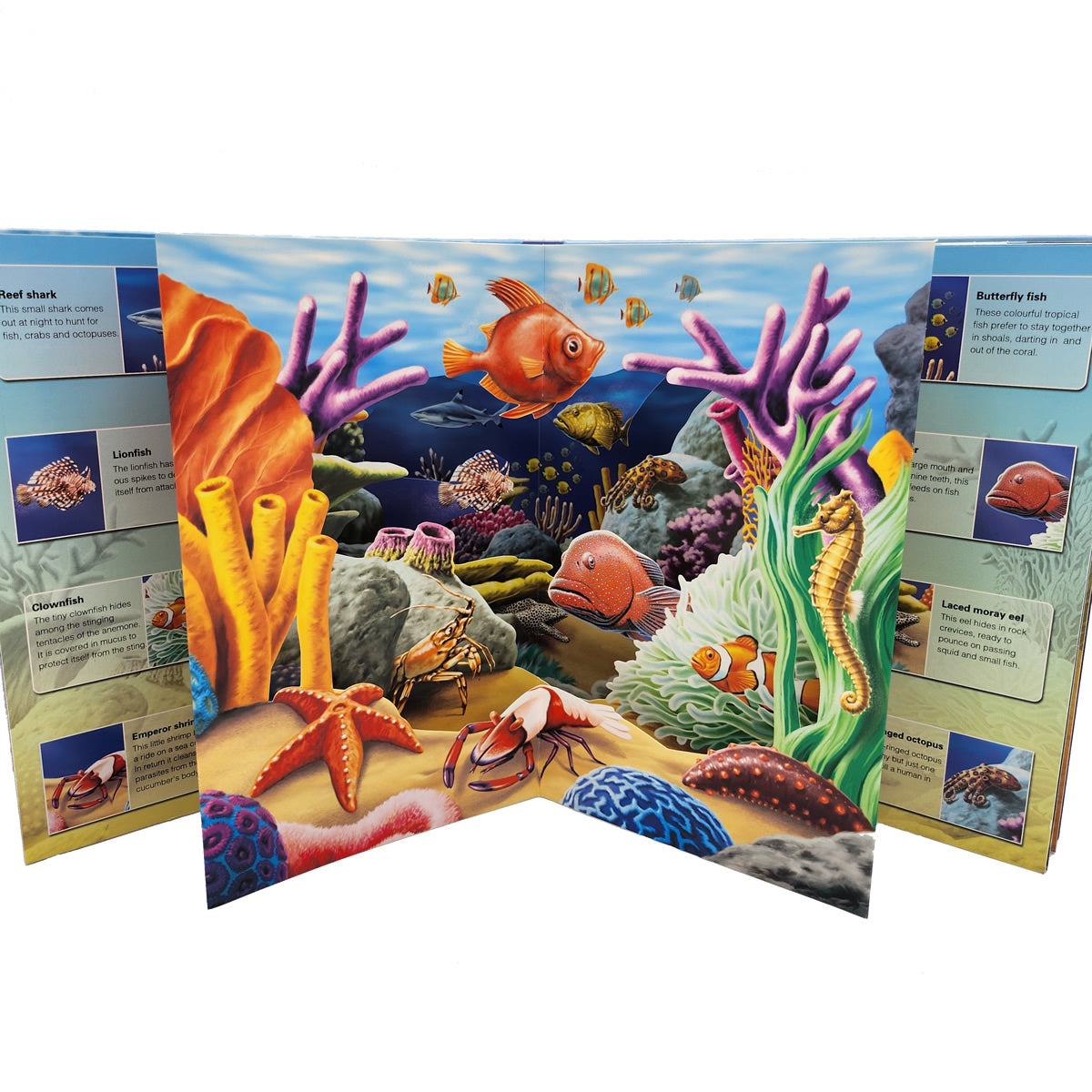 3D Wild Ocean Pop-up Book 3D海底世界立體書