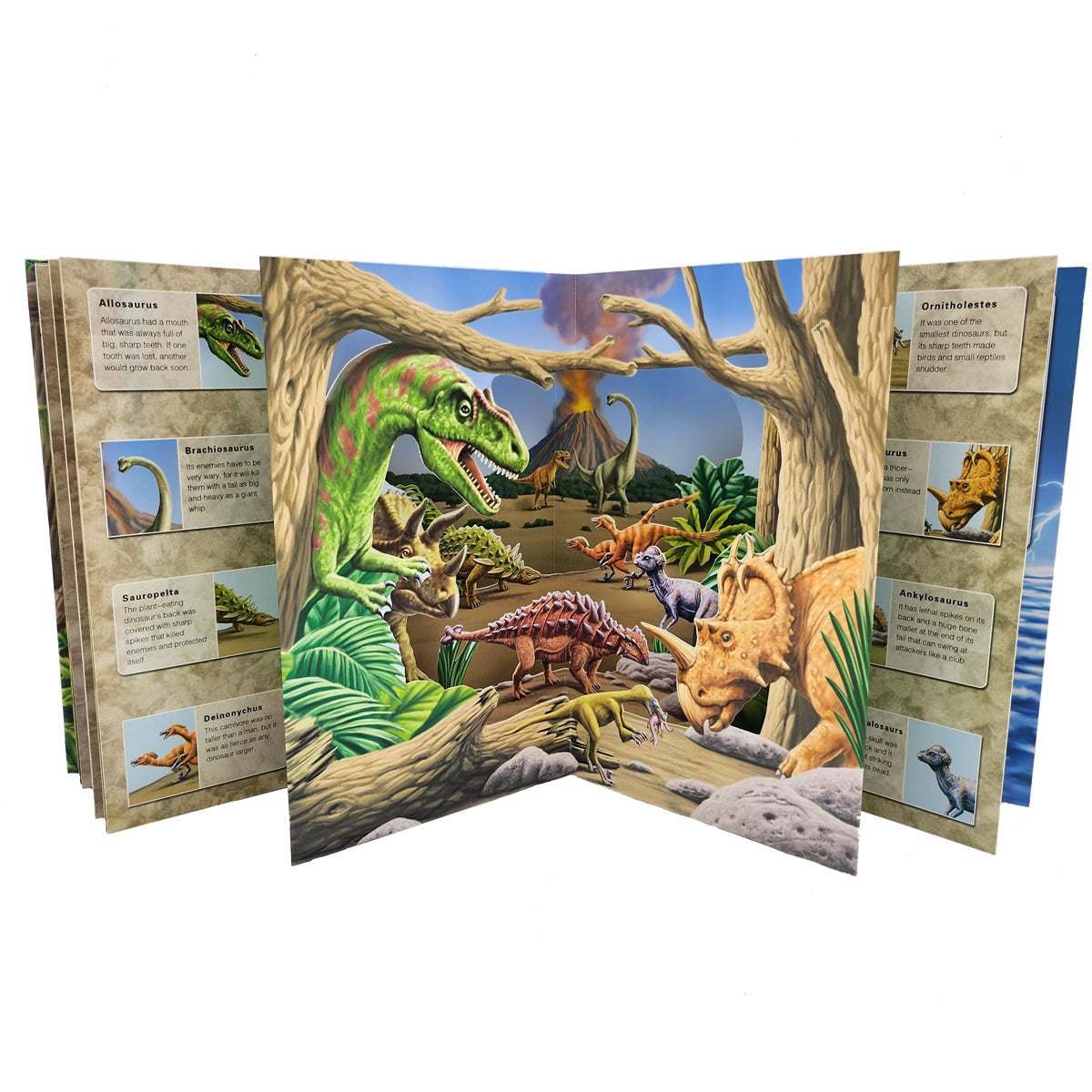 3D Wild Dinosaur Pop-up Book 3D恐龍世界立體書