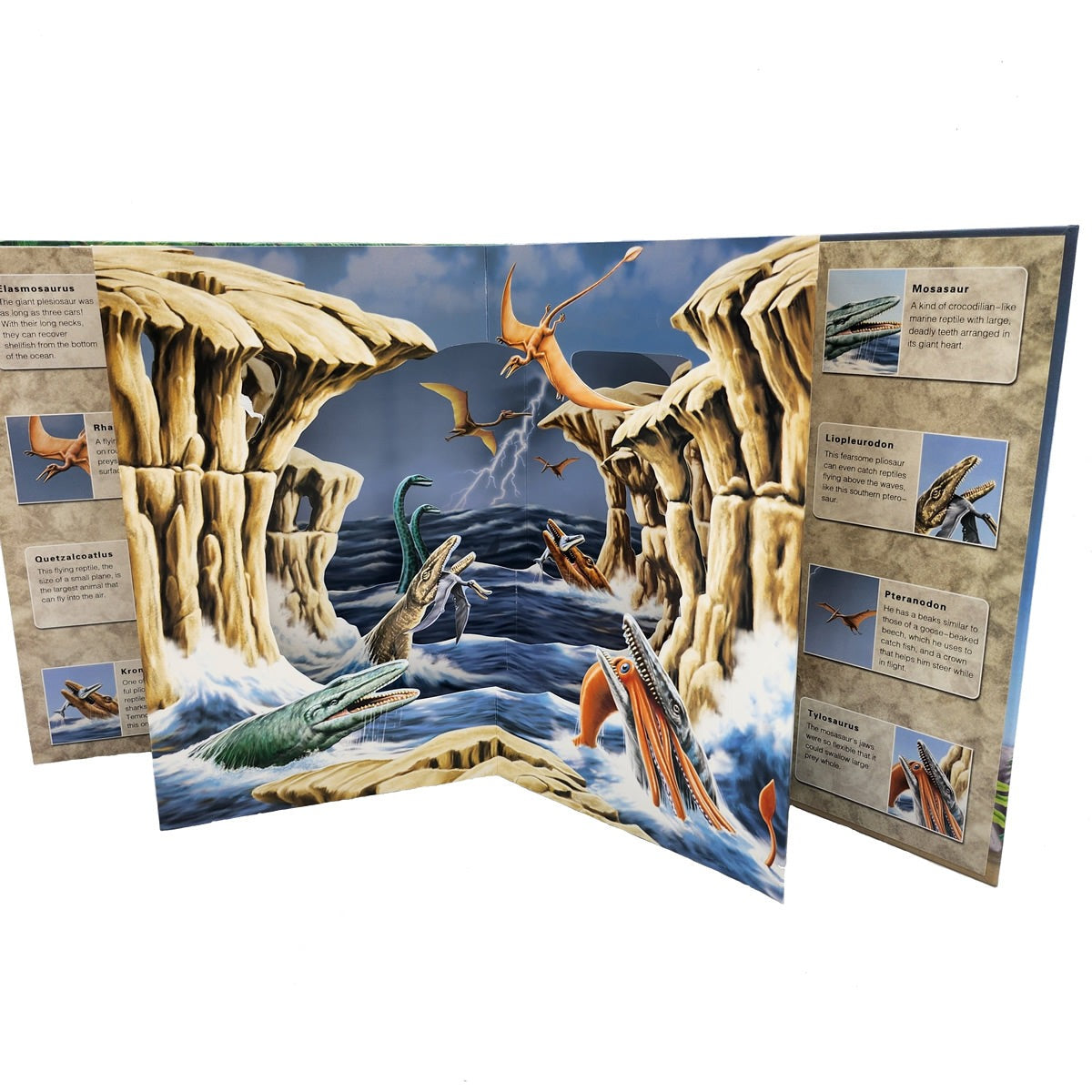 3D Wild Dinosaur Pop-up Book 3D恐龍世界立體書