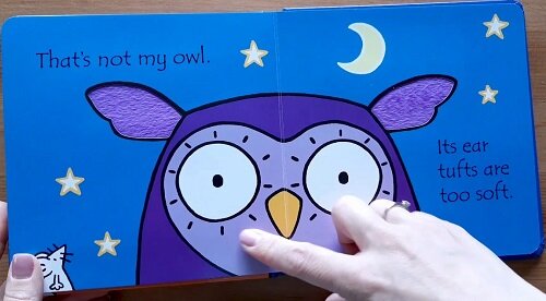 Usborne That's Not My Owl Touchy-feely Board Book 那不是我的貓頭鷹 觸摸書
